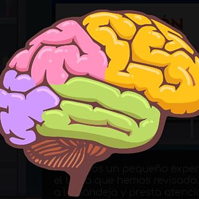 Timeline: EL CEREBRO           Y LA EVOLUCIÓN DEL SISTEMA NERVIOSO                                               (Estudiante: Diana Ramos)UMB
