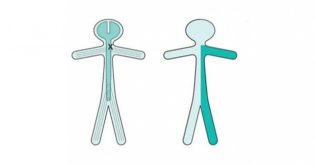 Siguiente síntoma dentro de las 24 horas