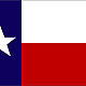 Texas flag  large by dallasx