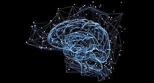 Surgimiento del primer cerebro