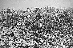 1800 - Land Act of 1800