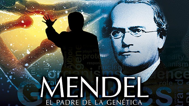 ESTRATEGIAS O DISEÑOS DE INVESTIGACIÓN CIENTÍFICA