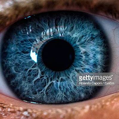 Timeline: Big Brother Is Always Watching