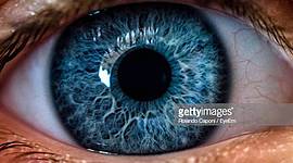 Timeline: Big Brother Is Always Watching