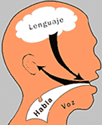 Se publican informes relacionados con patologías del lenguaje