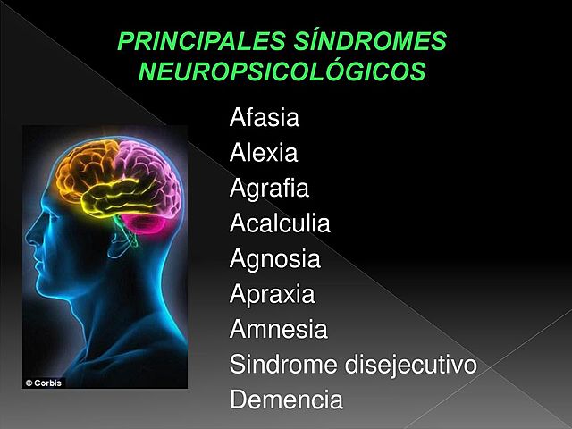 Mediados del siglo XIX