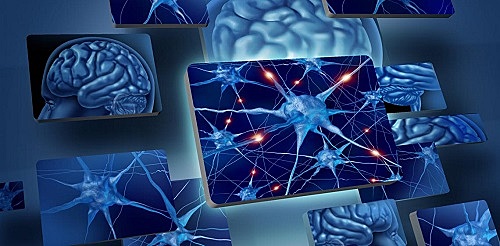 PERIODO CONTEMPORÁNEO (DESDE 1975)