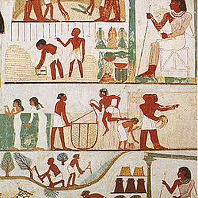 Timeline: Historie Modul 2