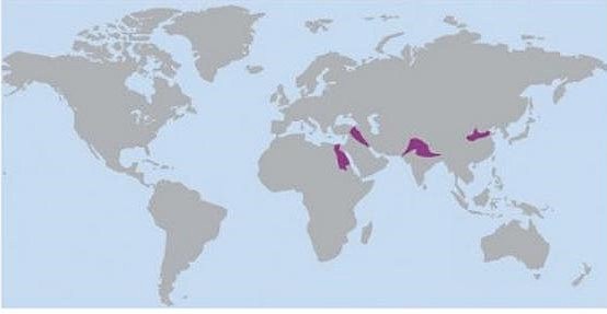 Land og bosetting langs de store elvene