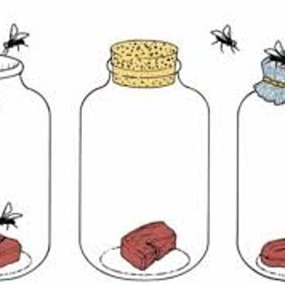 Timeline: Generación Espontanea