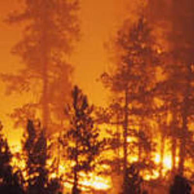 Timeline: australia's wild fires