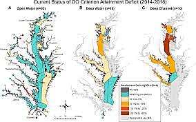 The University of Maryland Chesapeake Biological Laboratory is founded. It conducts the first water survey of the Bay the survey says that Bay is in good shape except for heavily industrialized areas.
