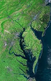 Aerial photographs are taken of the bay showing many rivers have underwater grass beds
