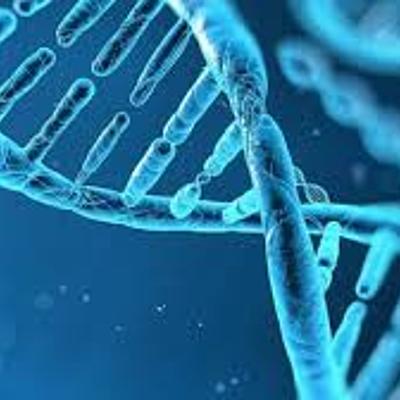 Timeline: Història de la genètica