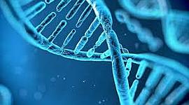 Timeline: Història de la genètica