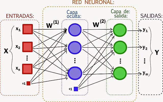 Primer modelo conceptual de una red neuronal