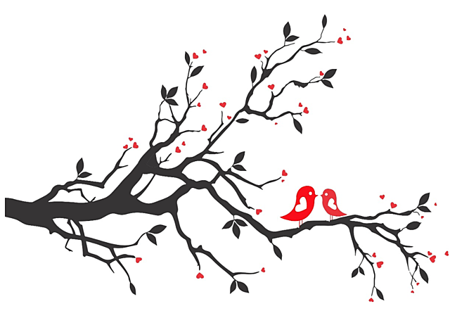 RAMAS NUEVAS, RAMAS ROTAS