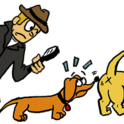 Timeline: Línea del tiempo: introducción a biología del comportamiento