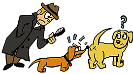 Timeline: Línea del tiempo: introducción a biología del comportamiento