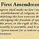 1stamendment