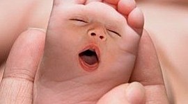 Timeline: Prenatal Development