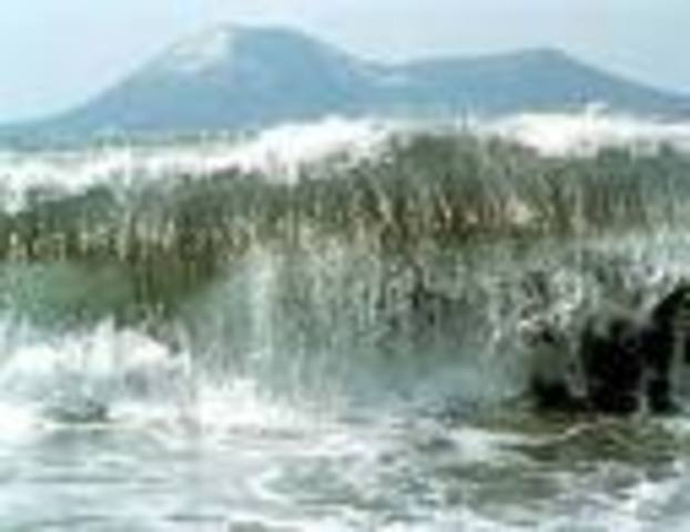 Eartquake hits Japan causing tsunami