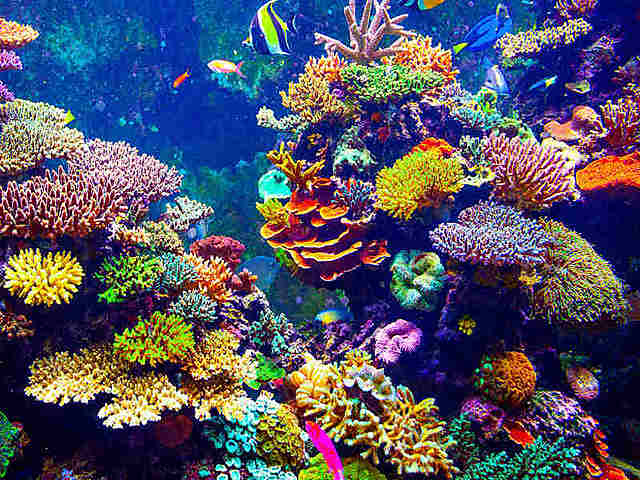 Reorganización de dirección marítima