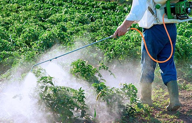 Plaguicidas y Residuos peligrosos