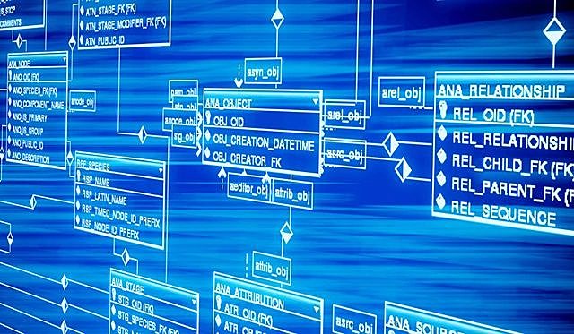 Término Base de datos