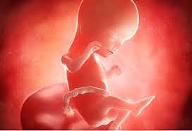 16 Weeks into Development