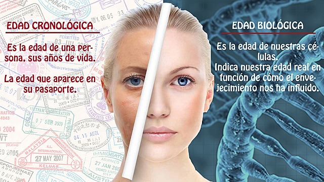 Envejecimiento Biológico y Psicológico. Langarica