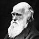 Charles darwin 01