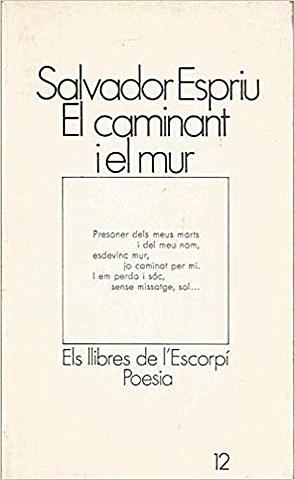 El caminant i el mur
