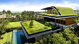 Timeline: Materiales