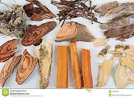 MATERIALES VEGETALES