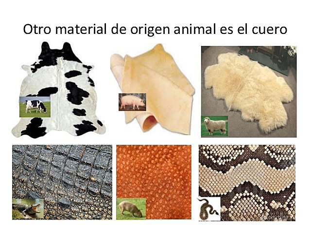 MATERIALES ANIMALES