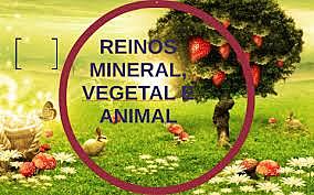 MATERIALES NATURALES