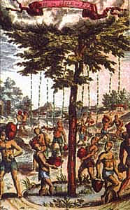 Conquest of La Gomera (Fin del Señorio)