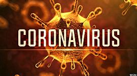 Timeline: Coronavirus