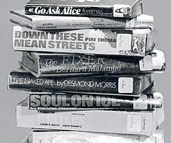 Island Trees School District v. Pico (1982)