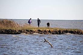 regional population reaches 7 million surge in people puts strain on water quality