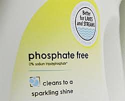 Local government bans phosphate detergent