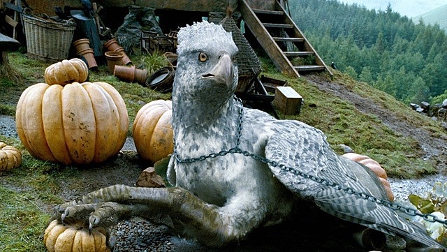 Ejecucion de Buckbeak