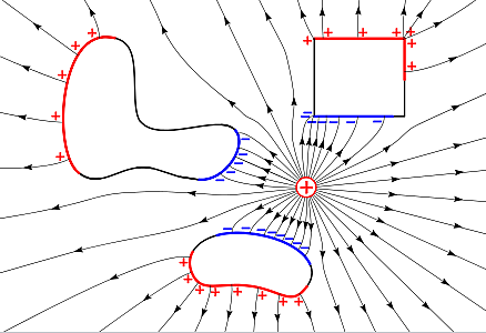 Arabic naturalists and physicians described electric fish and electrostatic phenomena