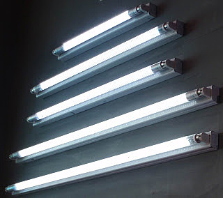 American engineer Peter Cooper Hewitt invented Fluorescent lamp.