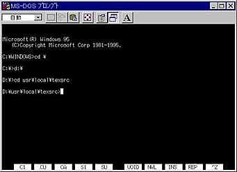 Windows MS-DOS