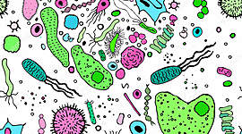 Timeline: Aportes de Científicos en Cazadores de Microbios