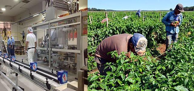 Industria y agricultura