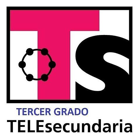 Enseñanza Secundaria por Televisión; Telesecundaria