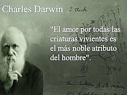 Darwin muere por fallos cardíacos